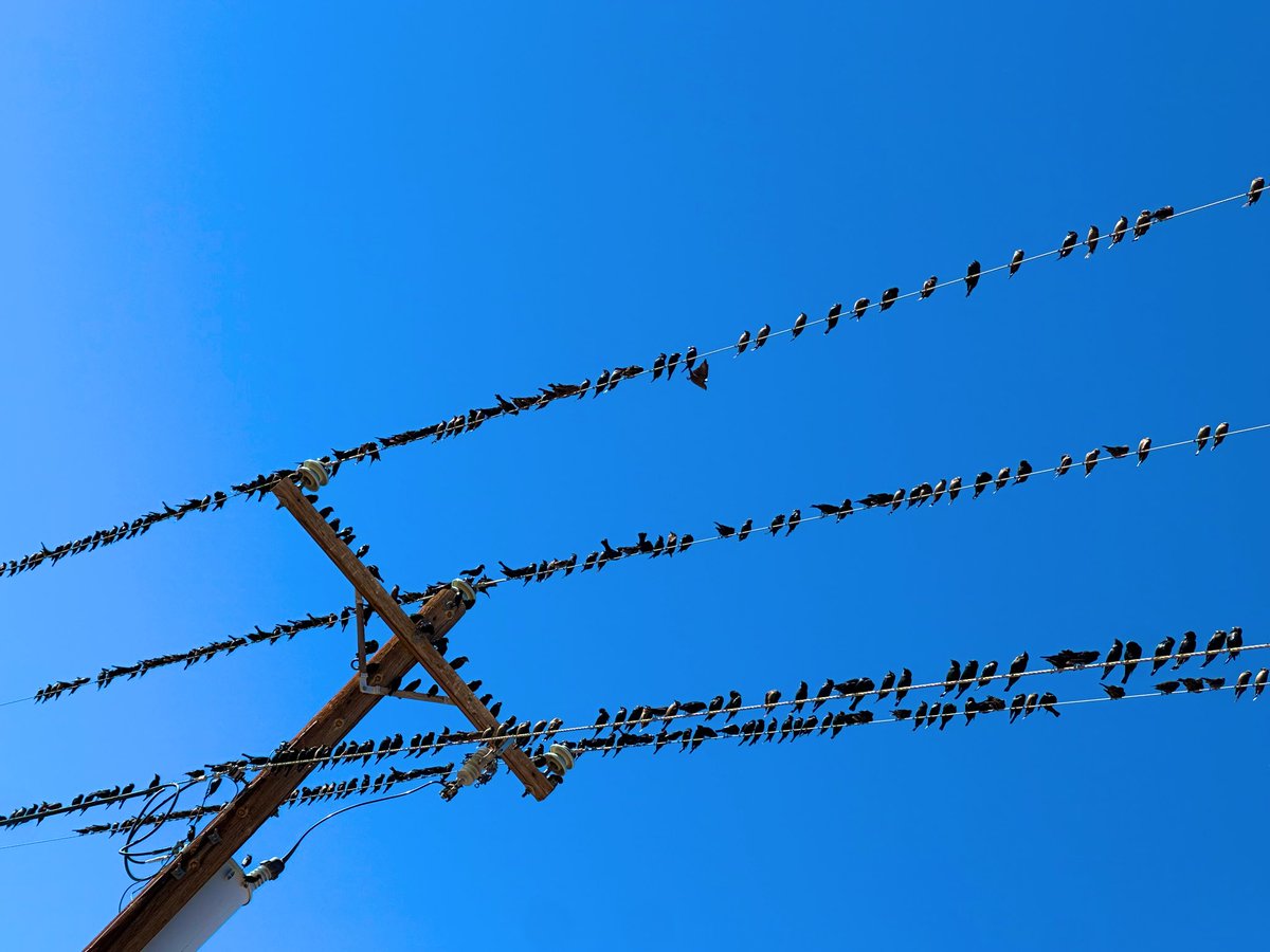 frencorp (@frencorp2) on Twitter photo 