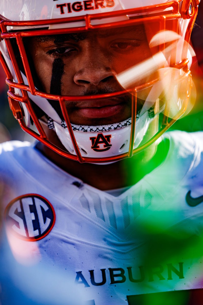 David Gray tweet media