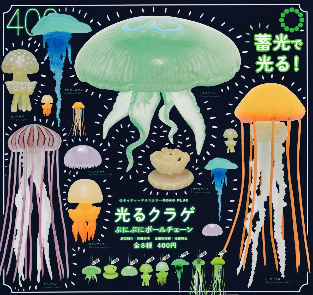 🌈 11月13日(木)新入荷情報🌈 ▫️光るクラゲ ぷにぷにボールチェーン