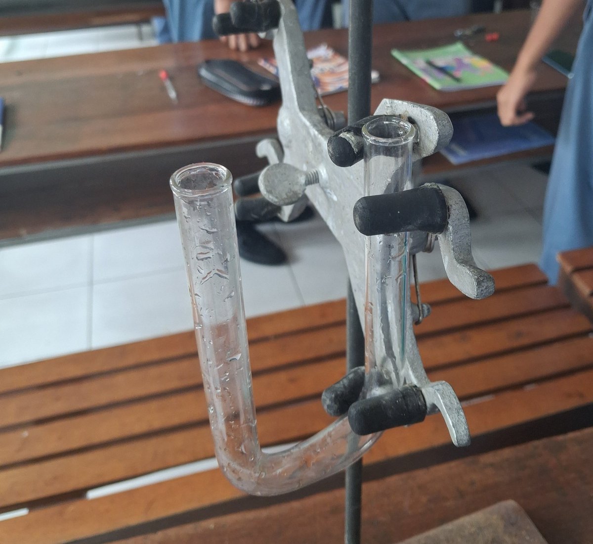 wuff²⁶ 🪼 tweet media