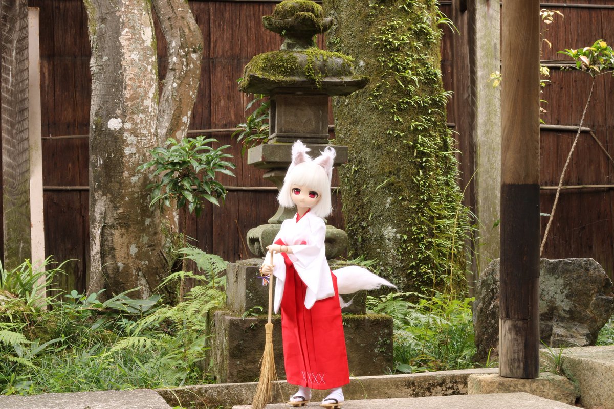 お昼休みに一枚だけドールの写真をはろう