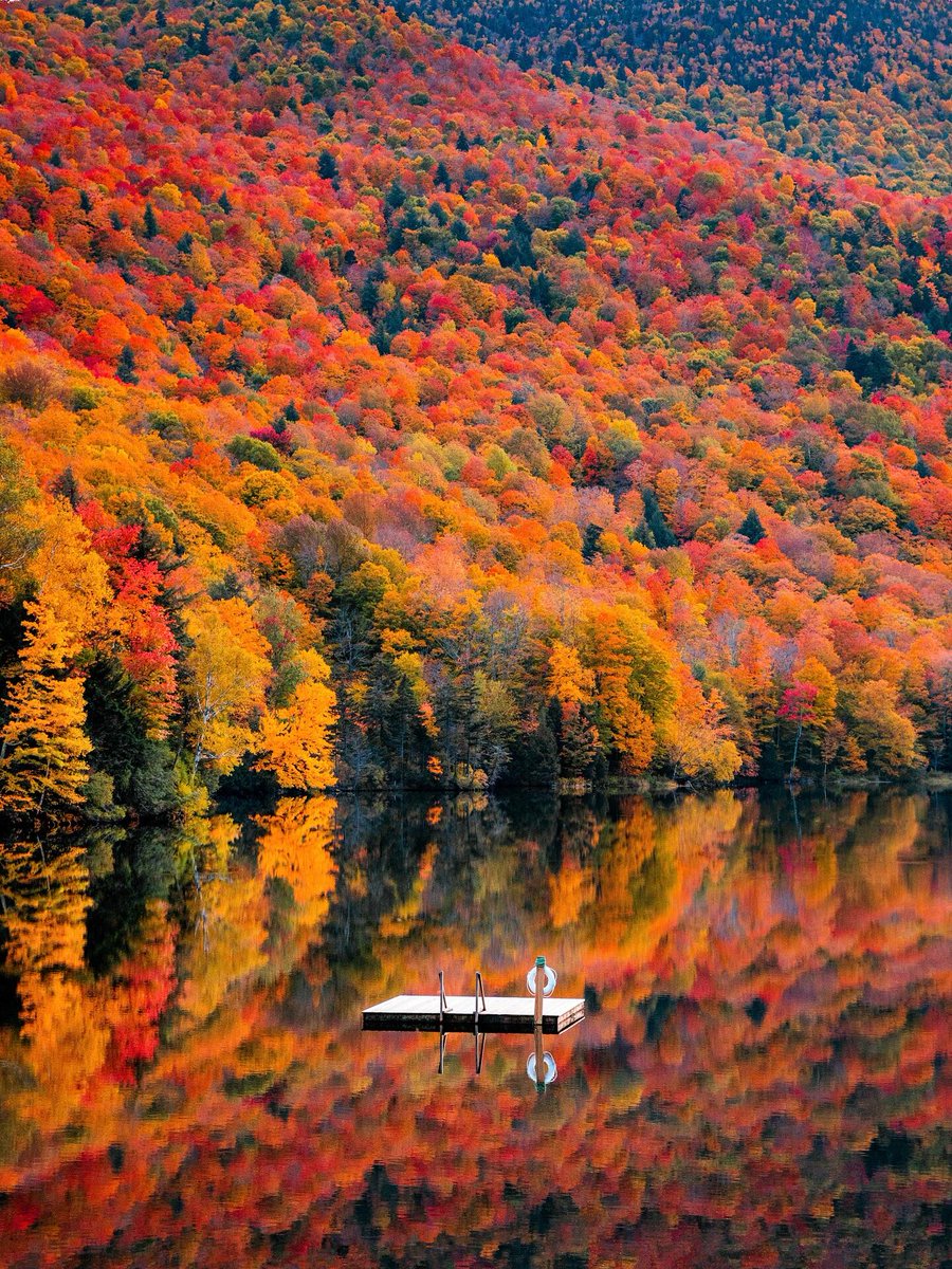 jiangsuandyou's tweet photo. Nature's putting on her final fiery show before the winter nap. So worth the cozy chills. โจ#AutumnColors #FallMagic #CozySeason #NatureLovers #ChinaTravel https://t.co/vmWlXb3uIf
