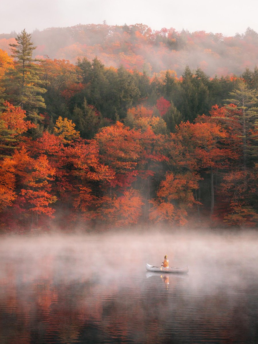 jiangsuandyou's tweet photo. Nature's putting on her final fiery show before the winter nap. So worth the cozy chills. โจ#AutumnColors #FallMagic #CozySeason #NatureLovers #ChinaTravel https://t.co/vmWlXb3uIf