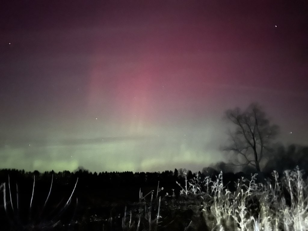 CharlieBourdo's tweet image. Steamed hams going crazy rn