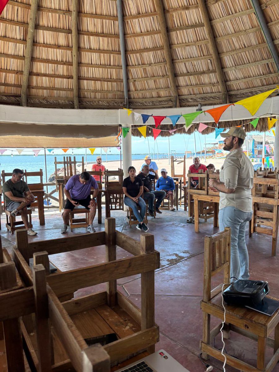 Cosorema tweet media