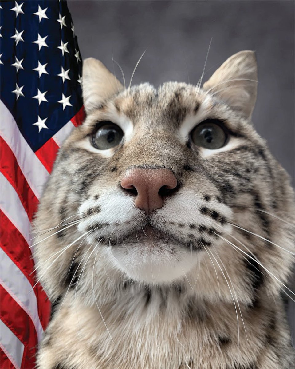 Make sure to update your DA photos