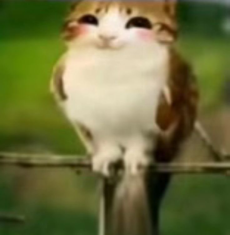 stonedinurattic's tweet image. dating a man who actually knows how to eat #it ❤️❤️❤️❤️❤️❤️❤️❤️❤️❤️❤️❤️❤️❤️❤️❤️❤️❤️❤️❤️❤️❤️❤️❤️❤️❤️❤️❤️#yay #Finally