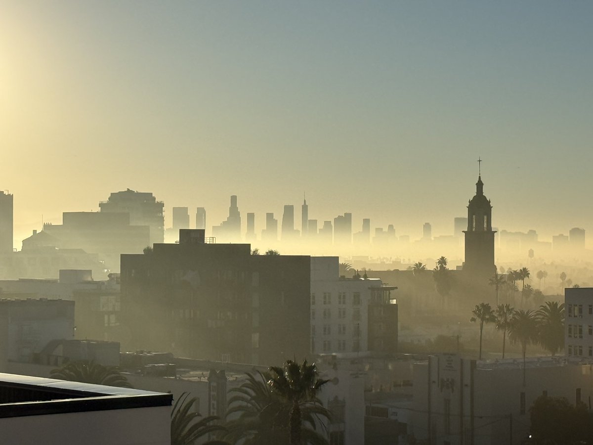 Richardadman's tweet photo. LA Life. Expect the unexpected https://t.co/nl1CPQcviX