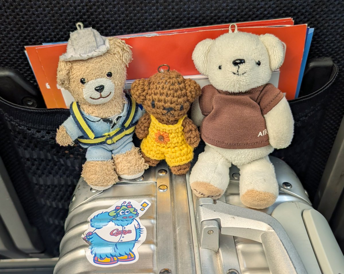 seibi3_beardo3's tweet photo. 🧸 みなさん こんばんは🌙
🐻 ひさしぶりだね😉
🐻‍❄️ おげんきでしたか🤗
🐻 とーい ところに おでかけするよ✈️
🧸 たのしみだね🥰
🐻‍❄️ じゃあ あとでね👋 https://t.co/xO2ddcOTc8