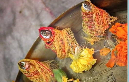 hellopratika's tweet image. &quot;Kanji Anla Osha&quot; - Odisha&apos;s unique ritual worships dried fishes as Goddess Sasthi for children&apos;s well-being. 

#OdishaFestival #IncredibleIndia #FestiveVibes #NOVEMBER #FestiveSeason #Odia