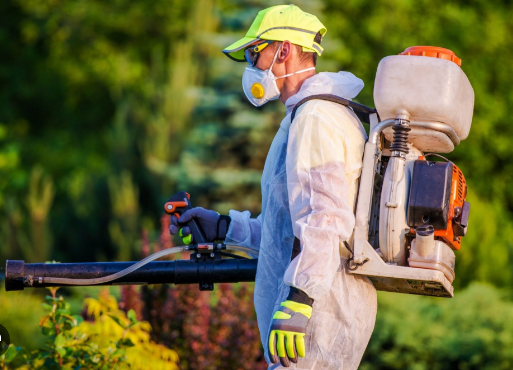 🌿 Safe for kids, safe for pets! 🐶🐱 Our eco-friendly pest control methods keep pests away without harming your loved ones. 💚
 #EcoFriendlyPestControl #FamilySafe #PestFreeHome