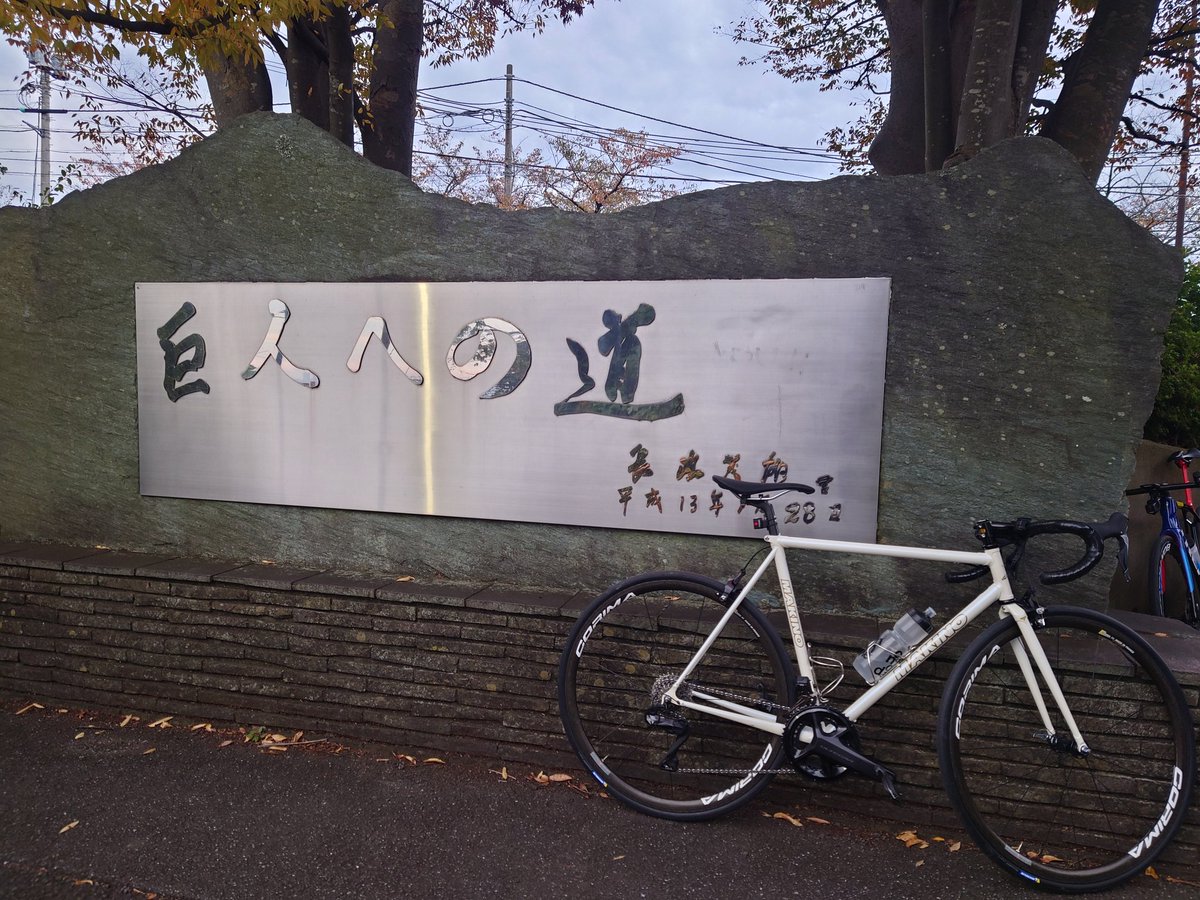 マキノ　フレームセット　530　パープル　8630R マキノ フレームセット 530 パープル 8630R