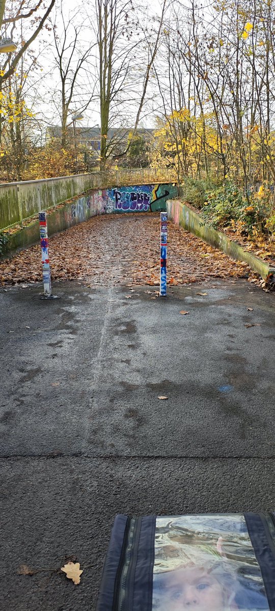 Moin <a href="/Ottostadt/">Ottostadt Magdeburg</a> , löblich, dass ihr jetzt dann auch mal Laub entfernt 👍🏻. Noch schöner wäre es gewesen, wenn die Unterführung auch mit frei gemacht würde...