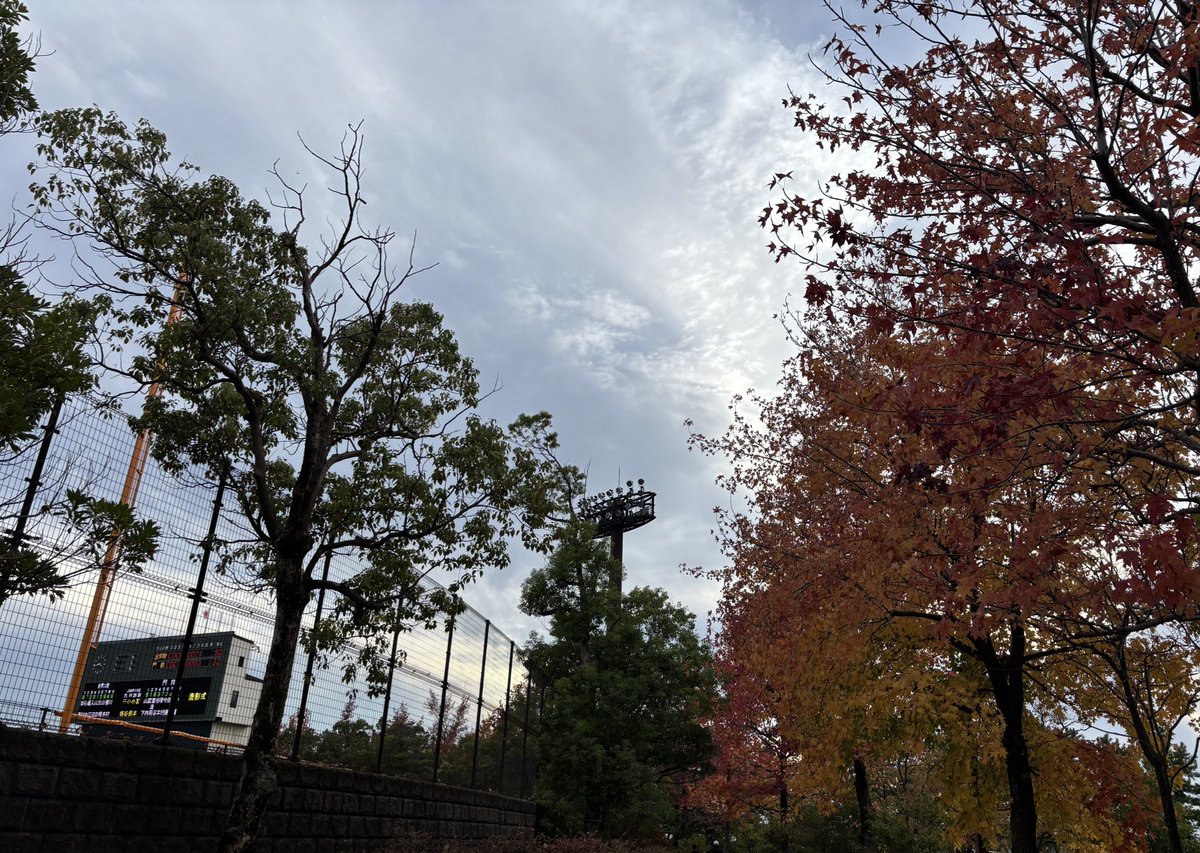 smiling_89's tweet photo. 市民⚾️見納めでした🍁
楽しかった〜 https://t.co/5NCZYYTpLk
