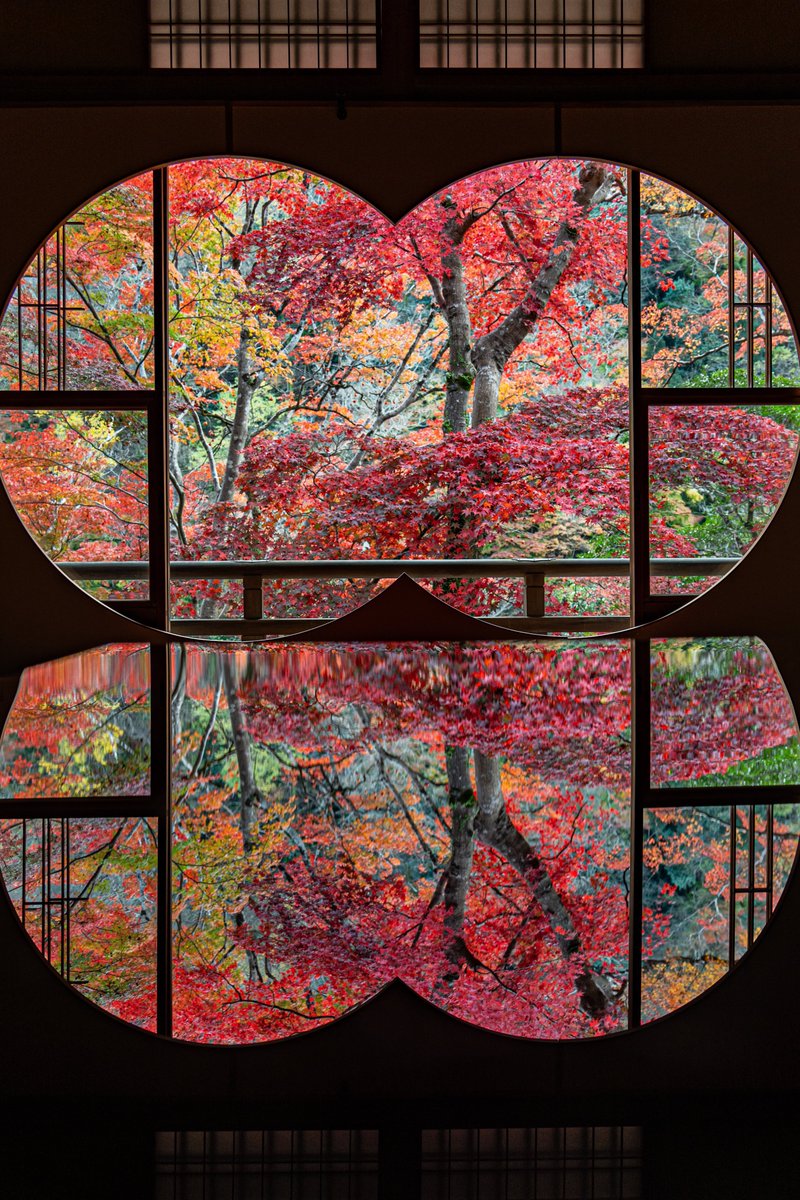 yuiphoto2's tweet image. 秋広がる窓