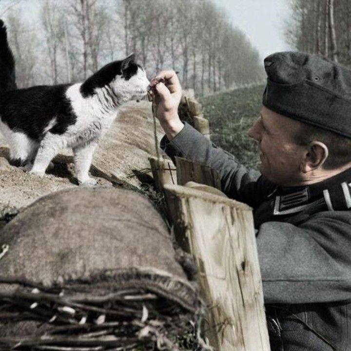 It's okay to love cats, no matter the situation you find yourself in