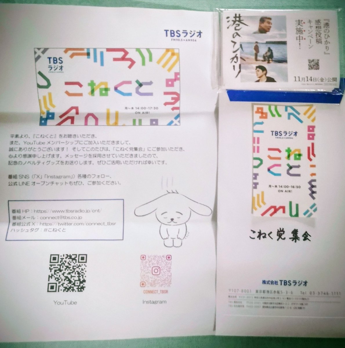 ぴよっこ🥚 (@APiyokko38516) / Posts / X