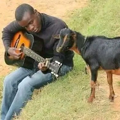 Simel Isaac tweet media