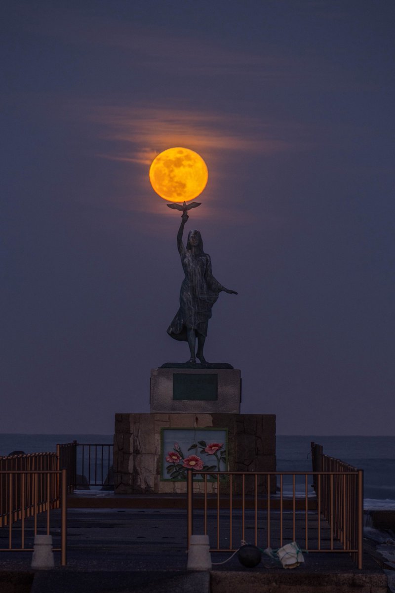 ポムの蒼。(ポムノアオ) tweet media