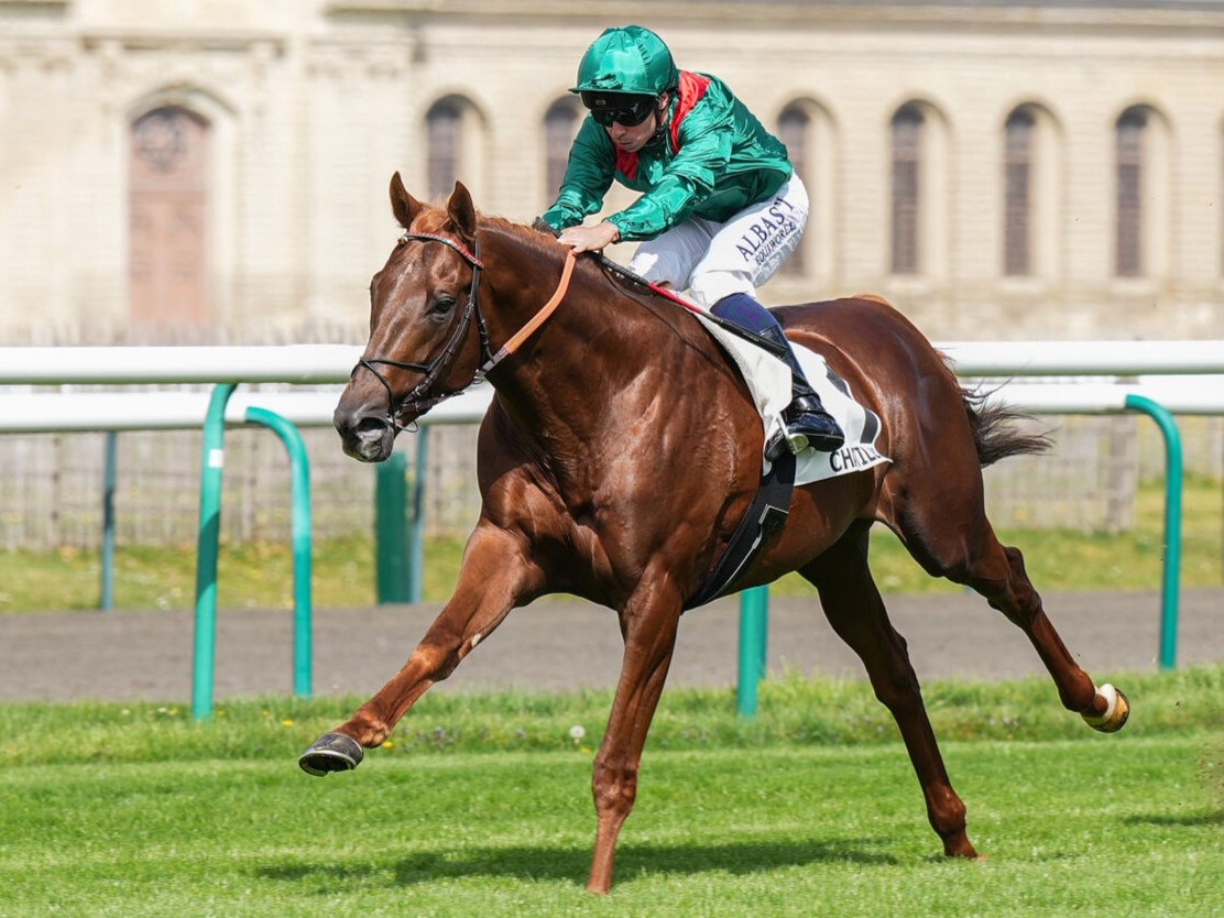 Aga Khan Studs tweet media