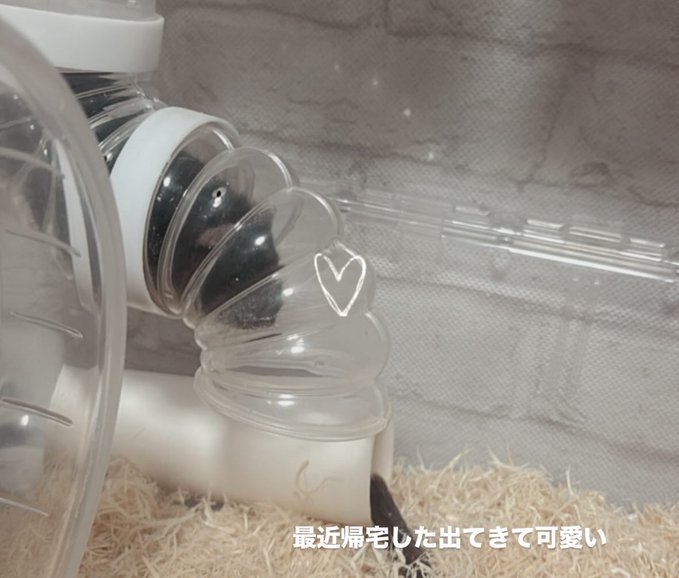 もふらんどのツイート