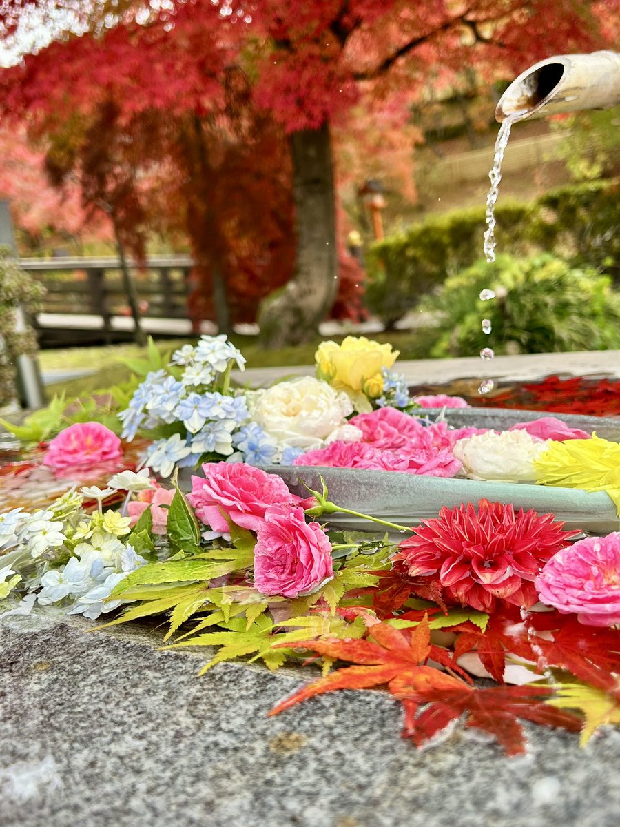 あまとり (@HGppacXYsRAdvpf) / Posts / X