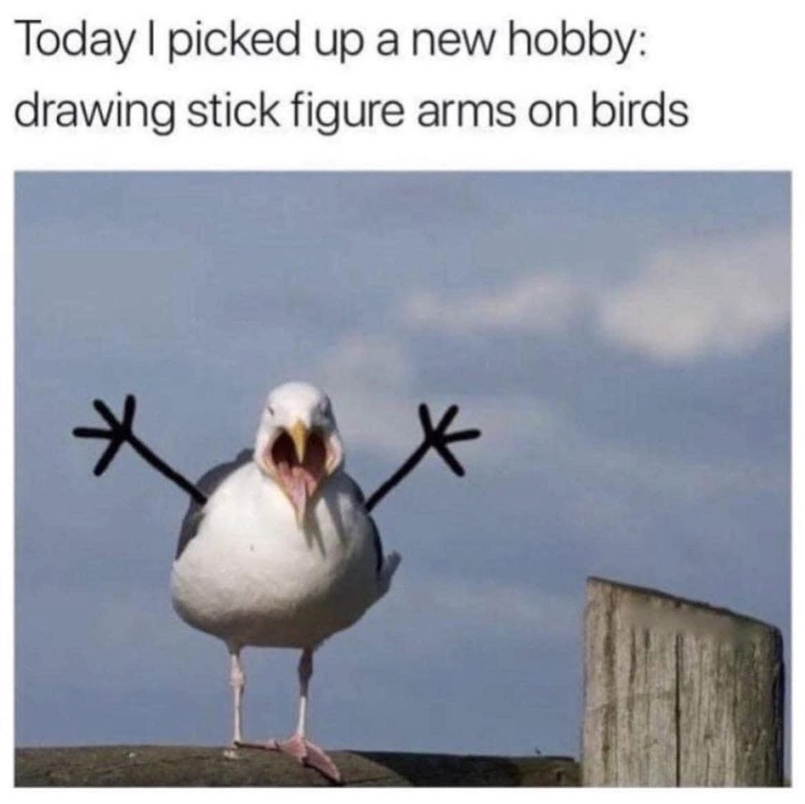 esp8687's tweet image. My new craft 🤣