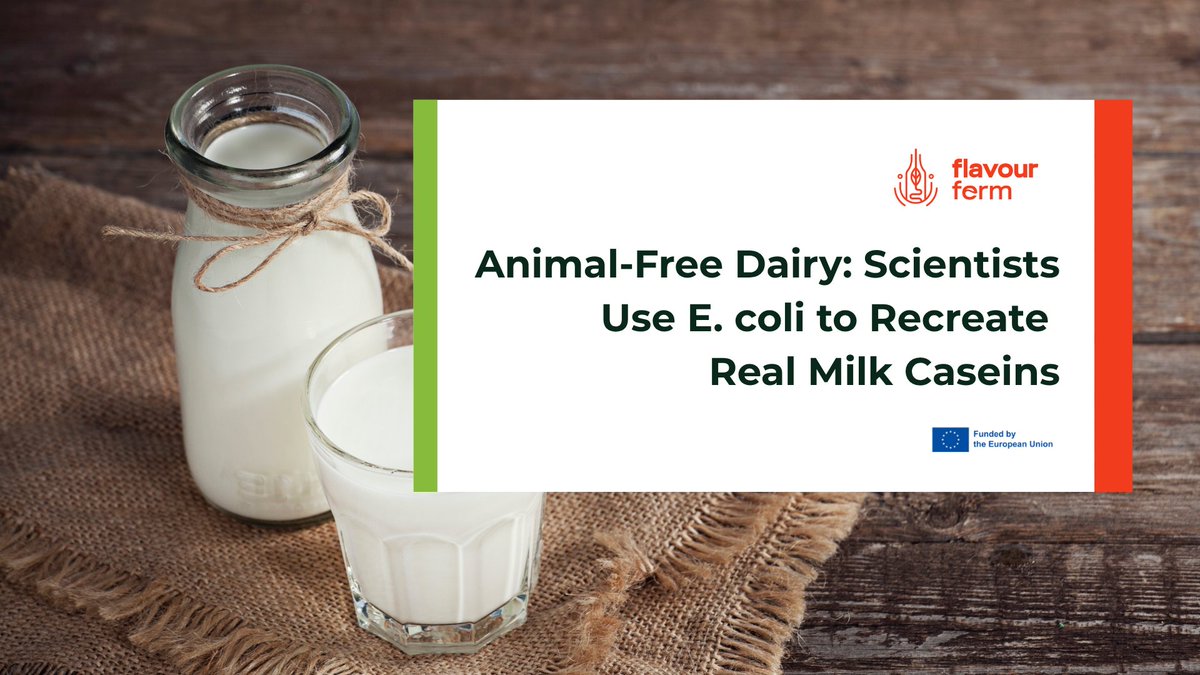 FlavourFerm tweet media