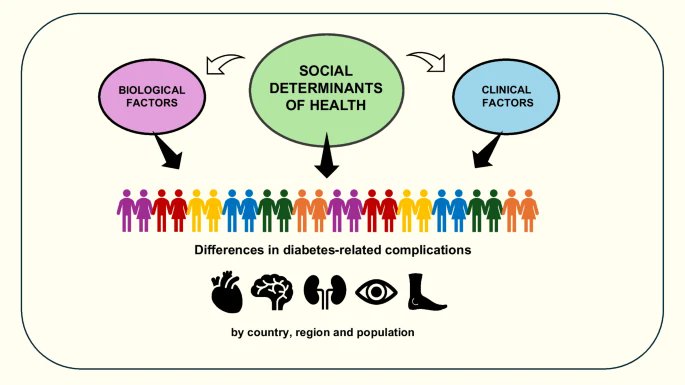 🌎 Diabetes complications aren’t just biological -they’re social too.

📊 Risks vary globally &amp; by ethnicity:

· Lower in high-income regions 
· Higher CKD &amp; stroke in Black, South &amp; East Asian groups 🩸

⚖️ Social factors such as access, education, culture are as powerful as