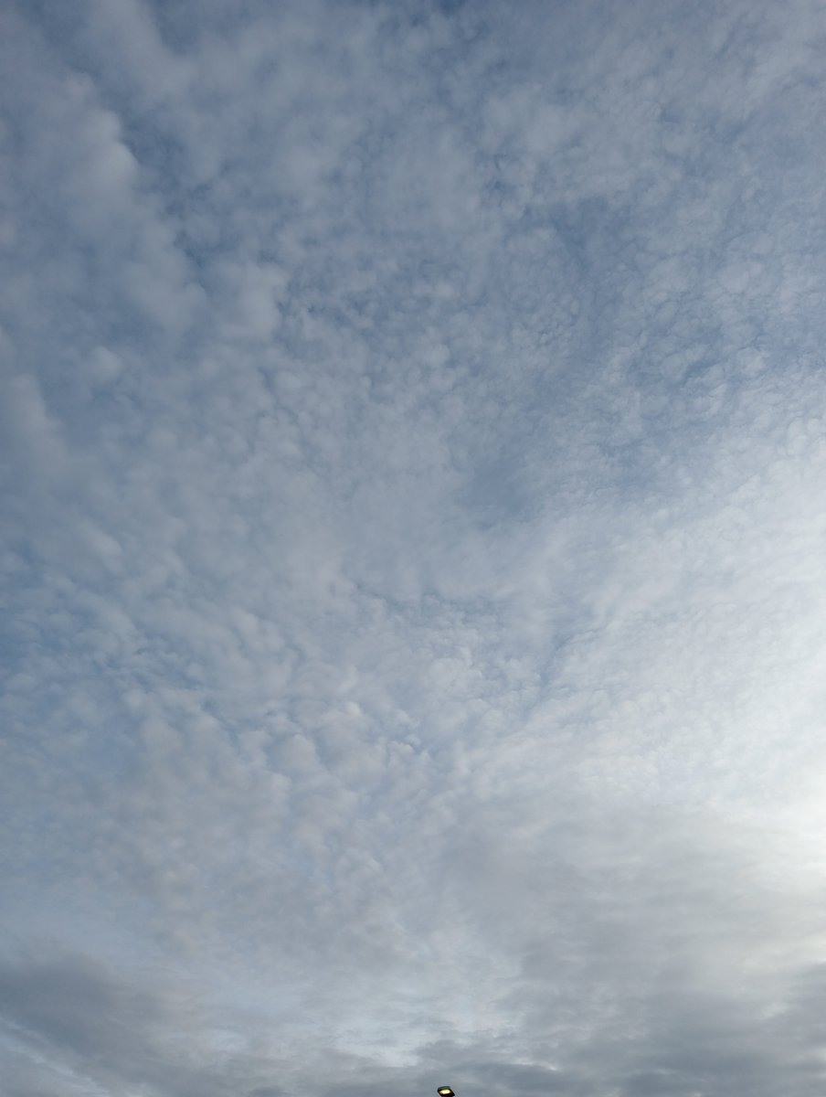 Lavante21575499's tweet image. The Netherlands, November 13th. It is getting harder to cope with this every single day.  Look at this disgusting crap. This is not normal and it needs to stop now. #GEOENGINEERING #BIOTERRORISM #HAARP #DOPPLER #NEXRAD #EISCAT  Trolls and deniers get blocked immediately. 🖕🖕