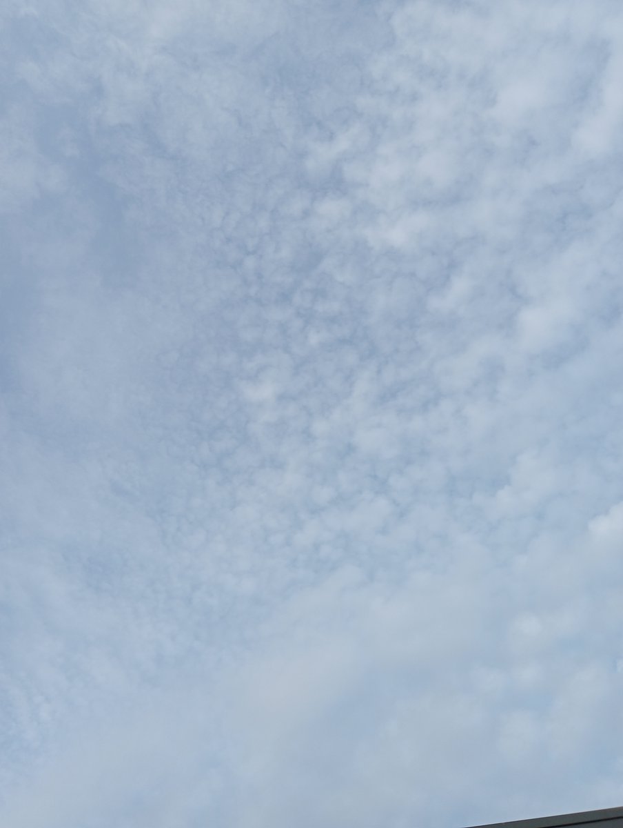 Lavante21575499's tweet image. The Netherlands, November 13th. It is getting harder to cope with this every single day.  Look at this disgusting crap. This is not normal and it needs to stop now. #GEOENGINEERING #BIOTERRORISM #HAARP #DOPPLER #NEXRAD #EISCAT  Trolls and deniers get blocked immediately. 🖕🖕