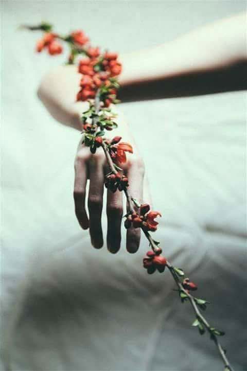 ..
كلما لململت  جرحي 
غزته ذاكرة من ماء فتبعثر  زهرا 🌸