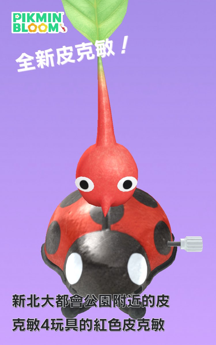 在花園的工具架上發現了瓢蟲🐞