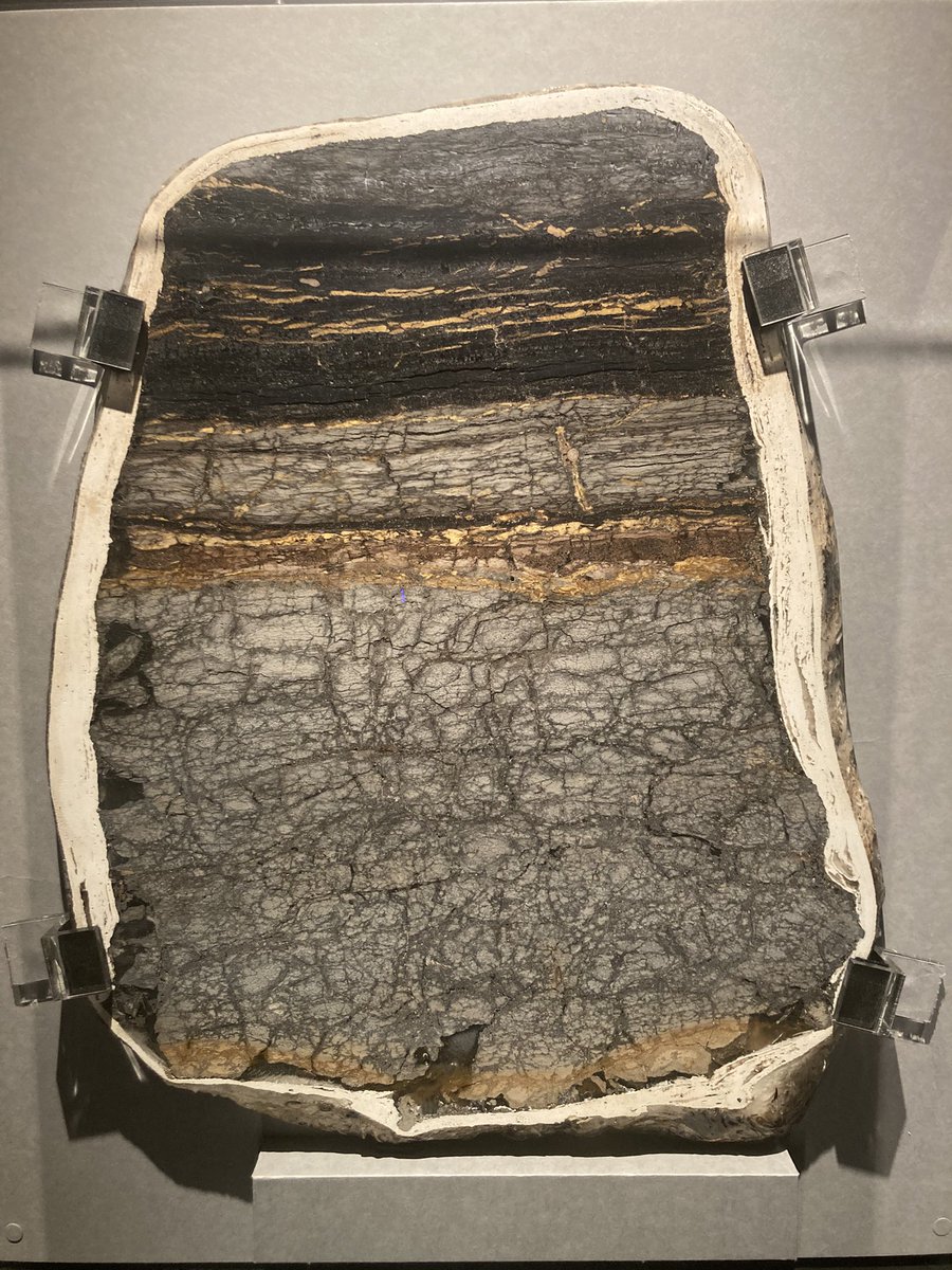 K-Pg境界(実物)。 K-Pg境界は恐竜が大絶滅した時代の境目で、それが