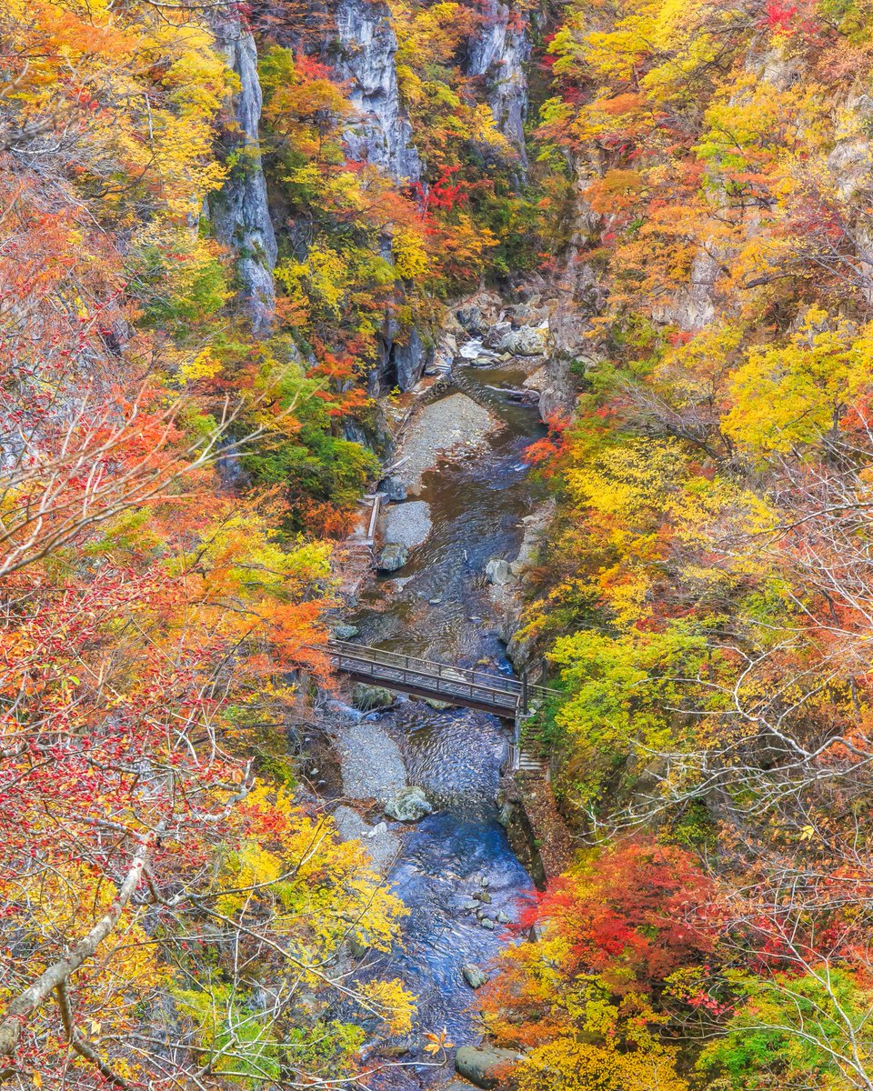 While often overlooked in favor of other prefectures in Tohoku during autumn, Miyagi’s Naruko Gorge is certainly no slouch and can hold its own with the best of them. If you visit, be sure to check the schedules for the Riku-East Line so you can snap that epic shot!
