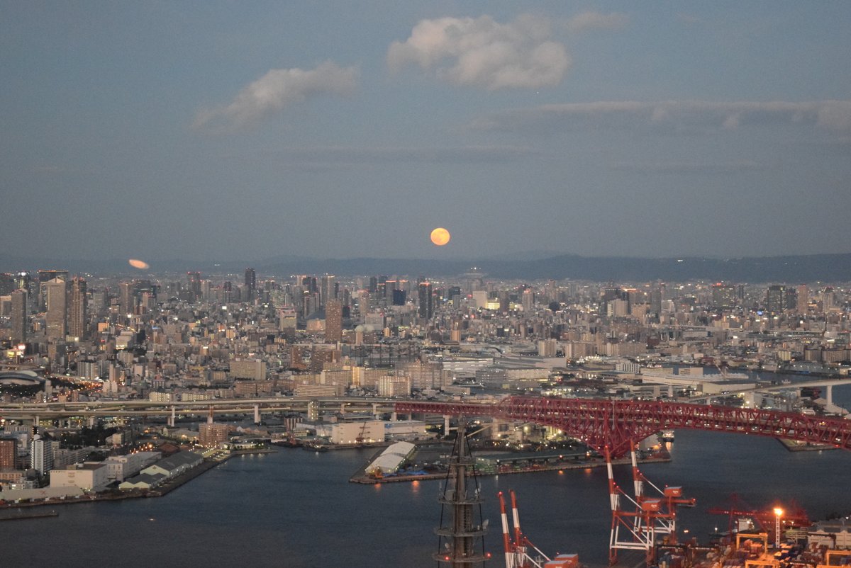 森山裕之 (@hanarebanareni) / Posts / X