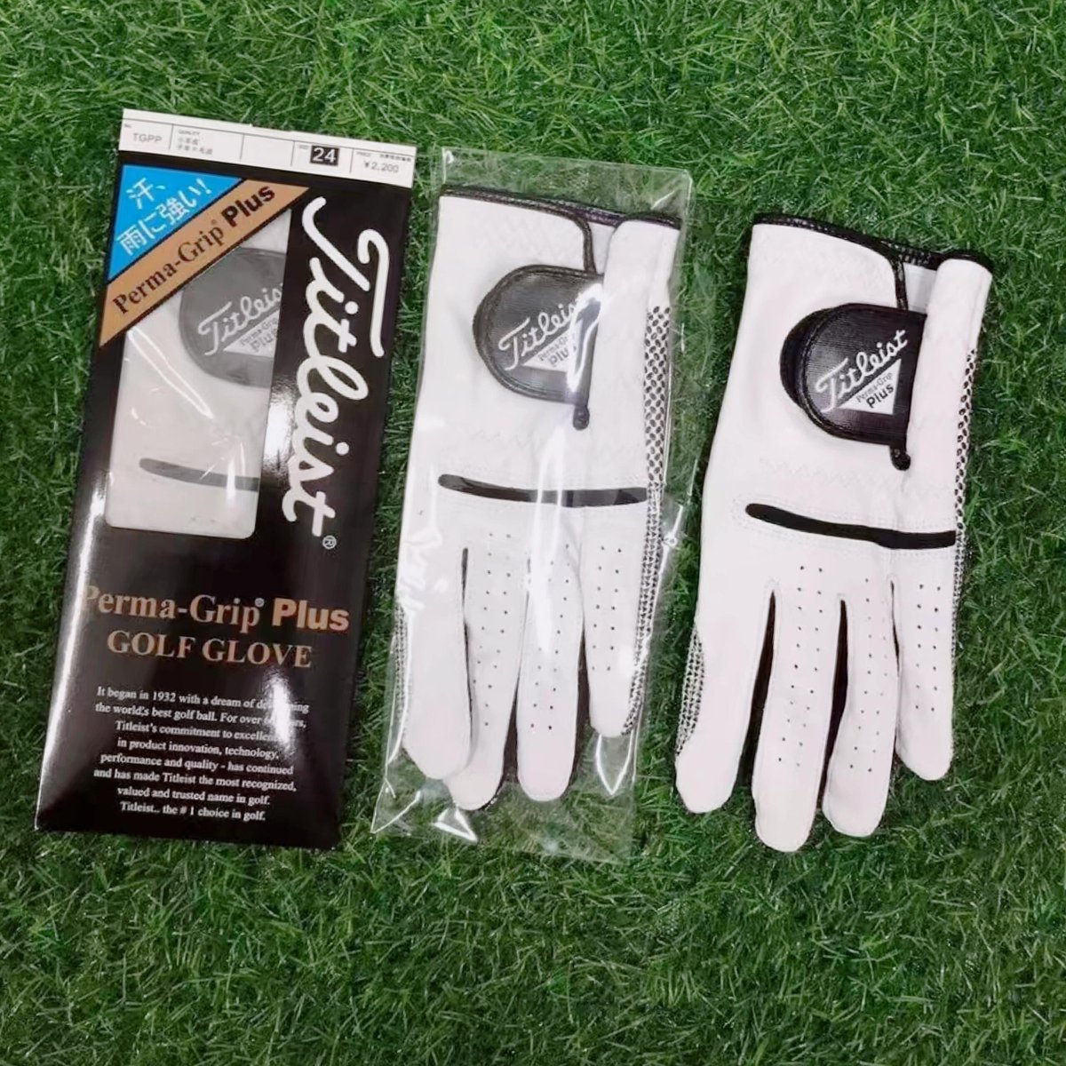 PuehlerN11618's tweet photo. ゴルフグローブ新調しちゃった〜！🤍 TitleistのPerma-Grip Plus、フィット感もデザインも最高すぎる…！これで次のラウンドも気分アガる〜(๑˃̵ᴗ˂̵)و✨

#ゴルフ女子 #Titleist #ゴルフグローブ #スポーツ好き #新しい相棒 #ゴルフ日和 https://t.co/MuNRfbuVsW