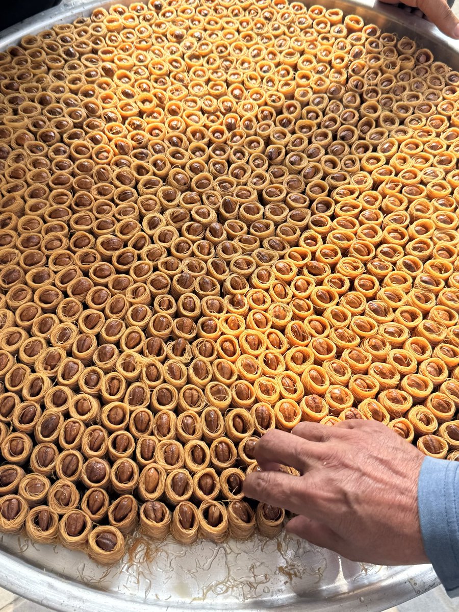 الله يكثر افراحك يا غزة
سادس تحلاية من الصبح بفرحة نجاح طلاب توجيهي غزة ❤️