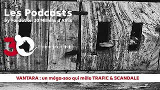 🌍Entre mai 2022 et septembre 2025, plus de 50 000 mammifères, oiseaux, reptiles et amphibiens vivants ont été exportés des quatre coins du monde vers Vantara, un mystérieux zoo indien. 

🔍La Fondation #30millionsdamis et ses partenaires internationaux œuvrent depuis plusieurs