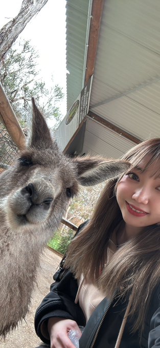 Jack＆Queenのツイート