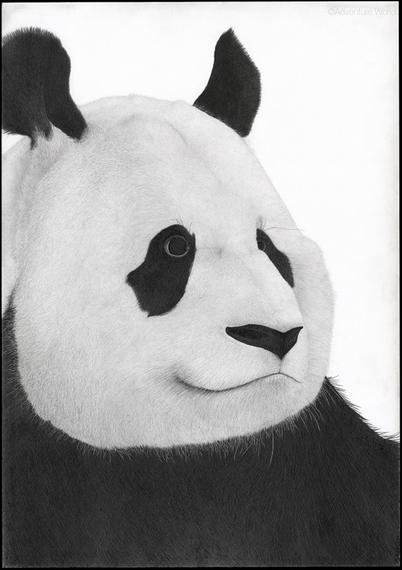 琴塚吉太朗 (@kichitarou_k) / Posts / X