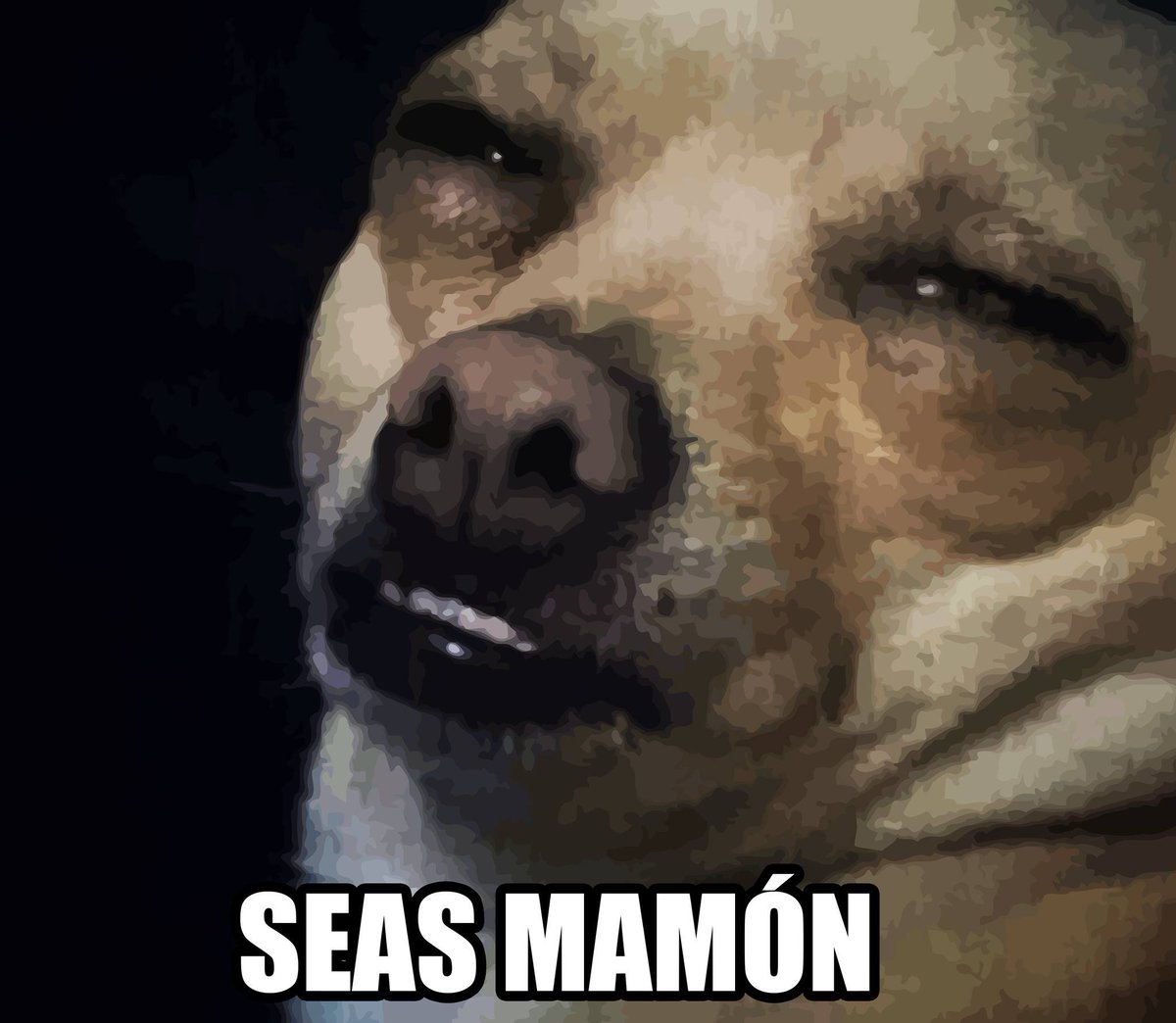 rasomen22's tweet photo. @congresoperu @Frospigliosi Sr GUSANO: no sea Pendex. https://t.co/xdqk7hHbeC