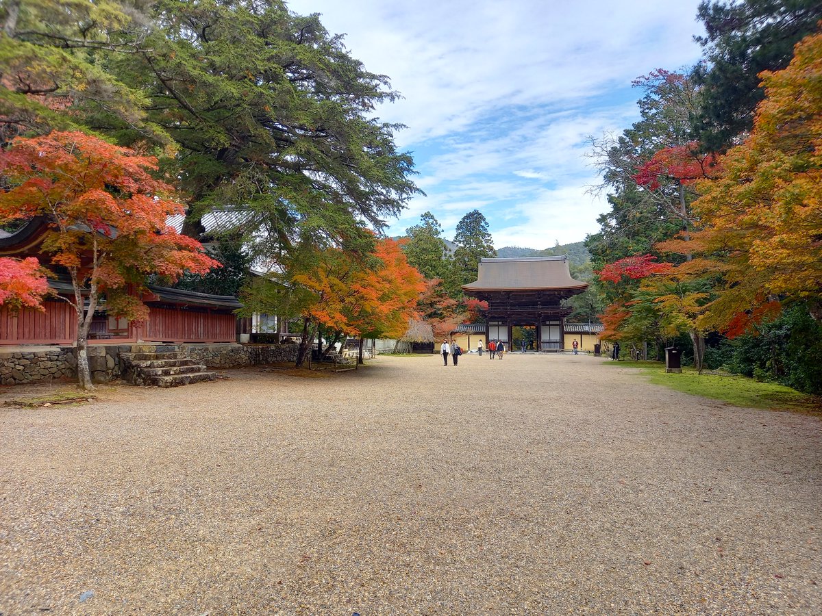 NIHONGA○-en- 第5回展2025年7/29〜8/11 (@nihonga_en) / Posts / X