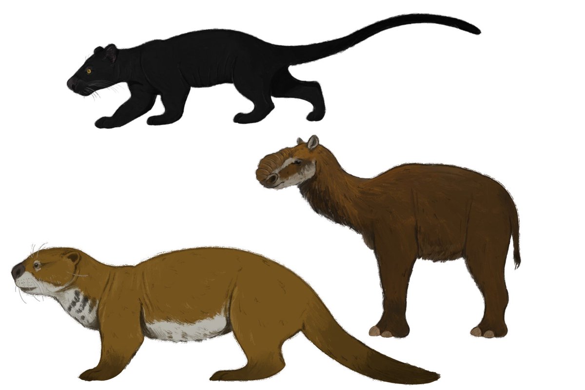 astrapionte's tweet image. Coming soon! 

#paleoart #prehistoricplaneticeage