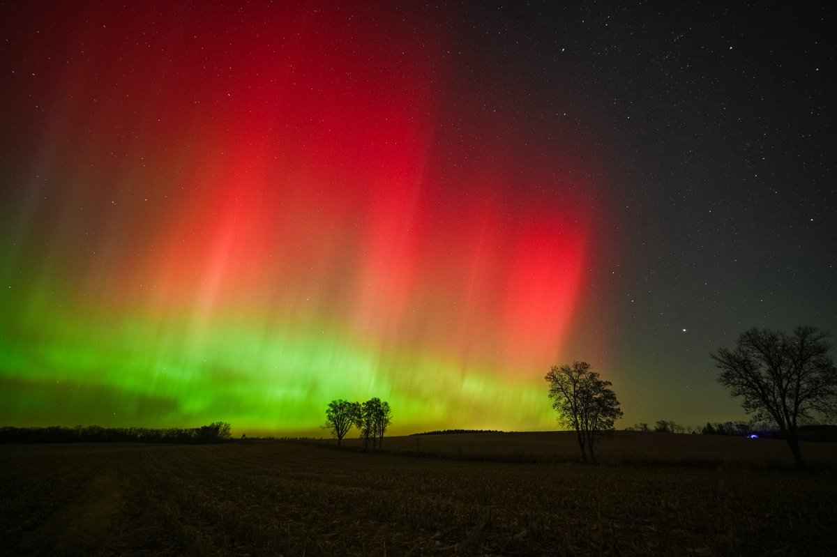 Landon Moeller tweet media