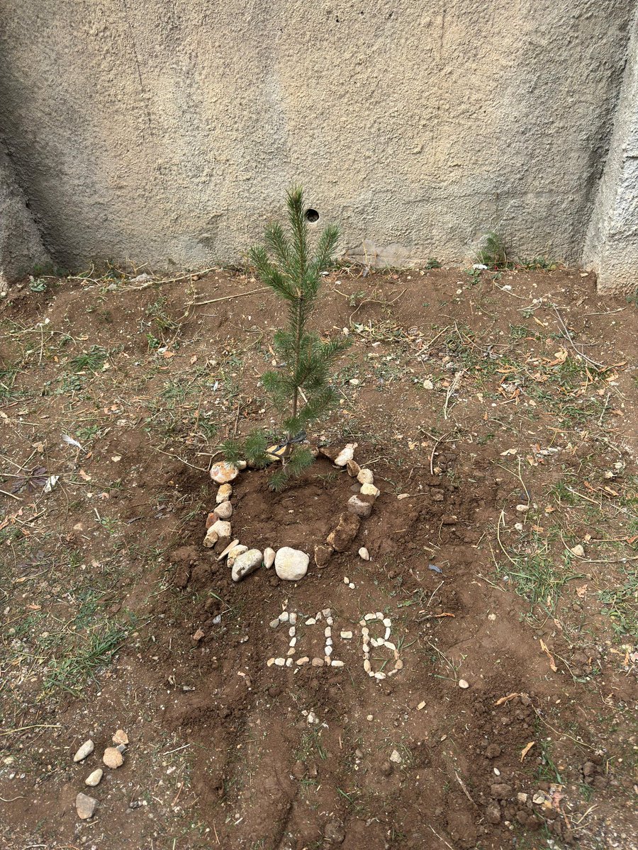 askaleal's tweet photo. 🌳 11 Kasım Milli Ağaçlandırma Günü 🌳
Bugün, geleceğimize nefes olmak için toprağa bir fidan daha diktik! 💚 https://t.co/sof30rJm8x