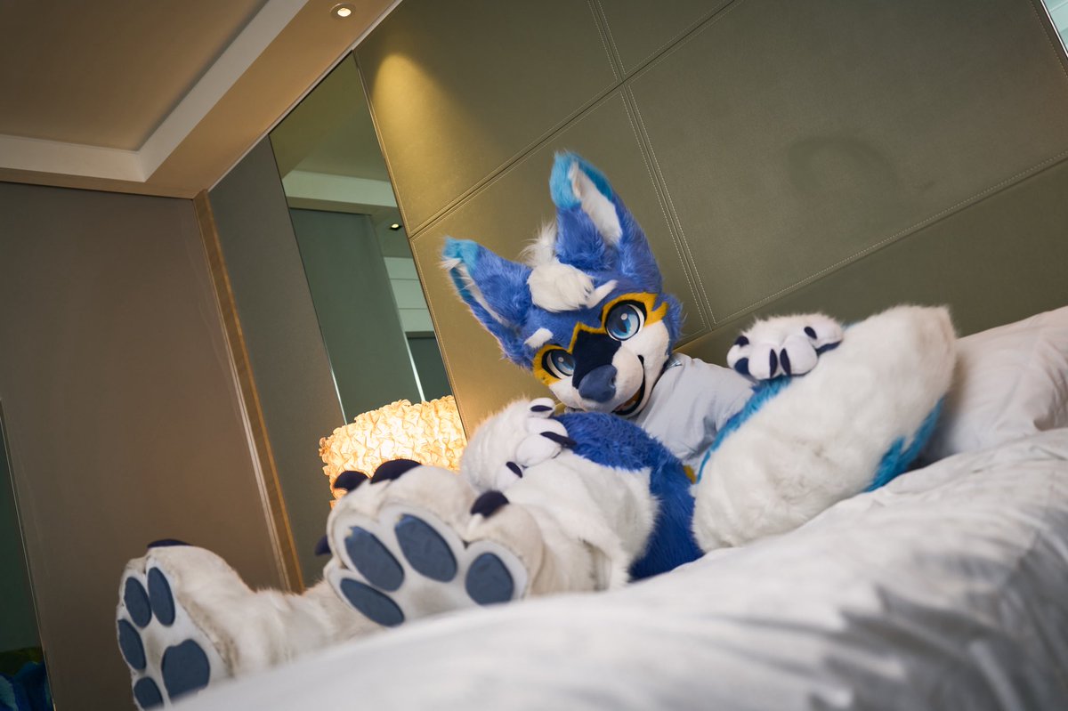 Don’t want to get up it so comfy

📸 <a href="/guni1636/">그니 GUNI</a>