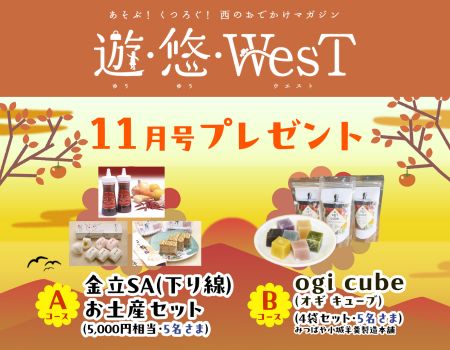 完売 限定 旅行土産✩.*˚ ありがとうございます！ サービスエリアのお土産セットや 手軽に食べれる小城羊羹が当たるかも