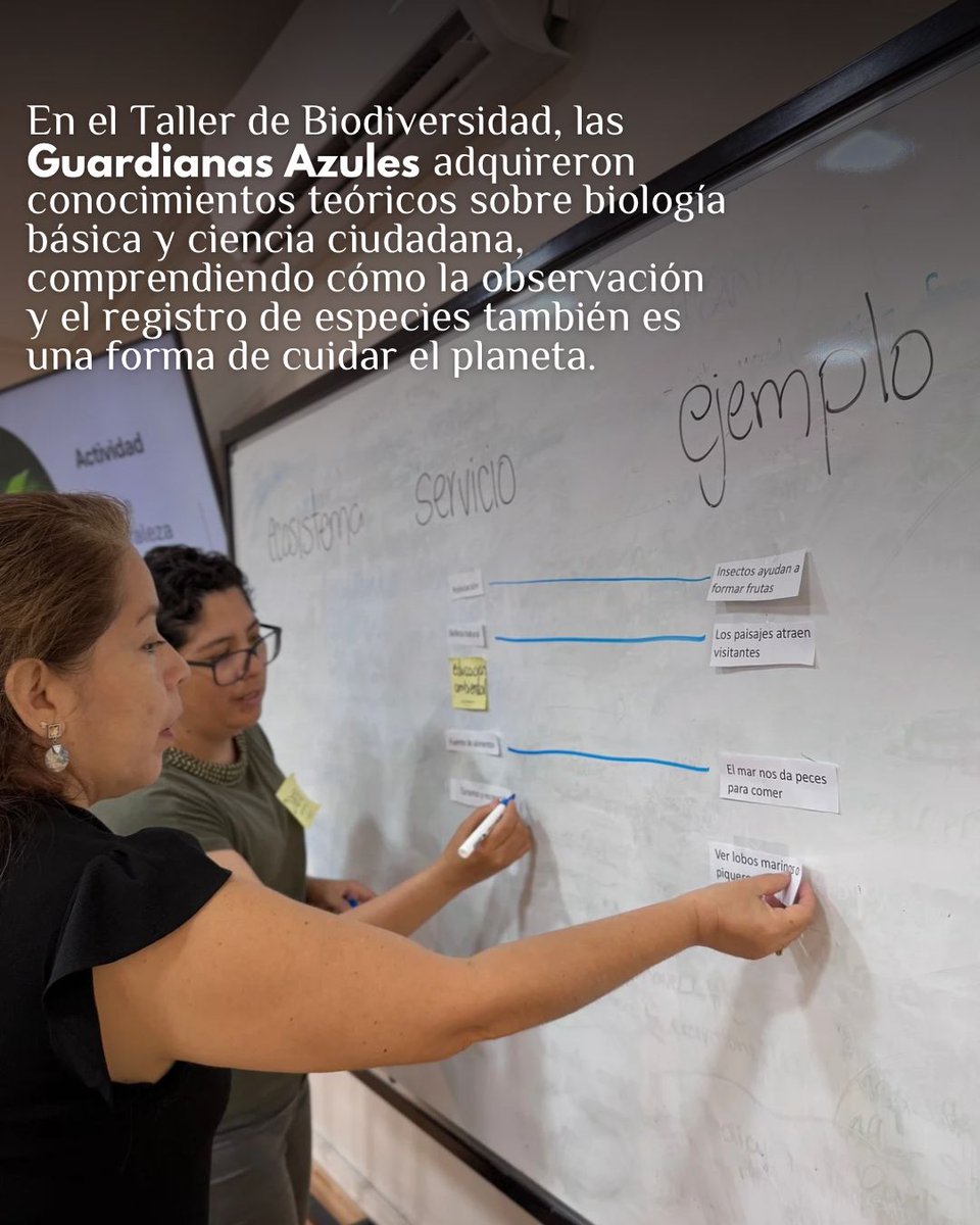 Galapagos Life Fund tweet media