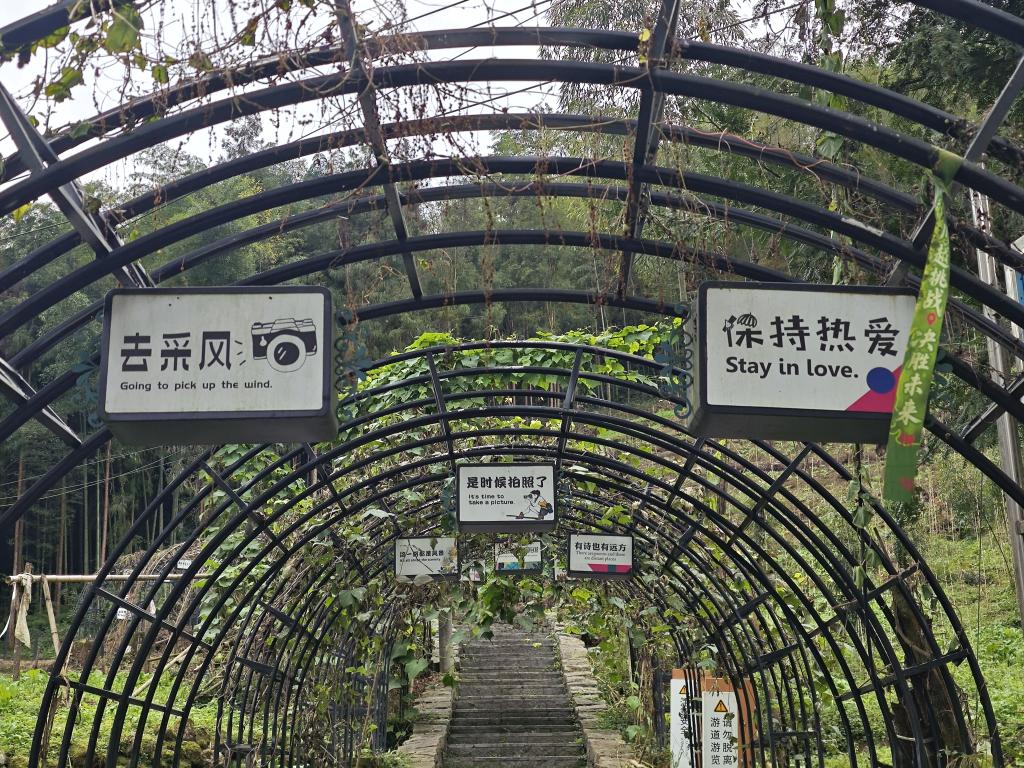 阿生有忄 tweet media